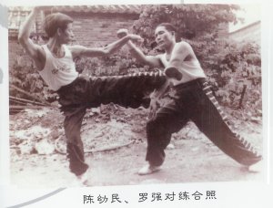 Sifu Chan et Sifu Mai Yu Keung en action
